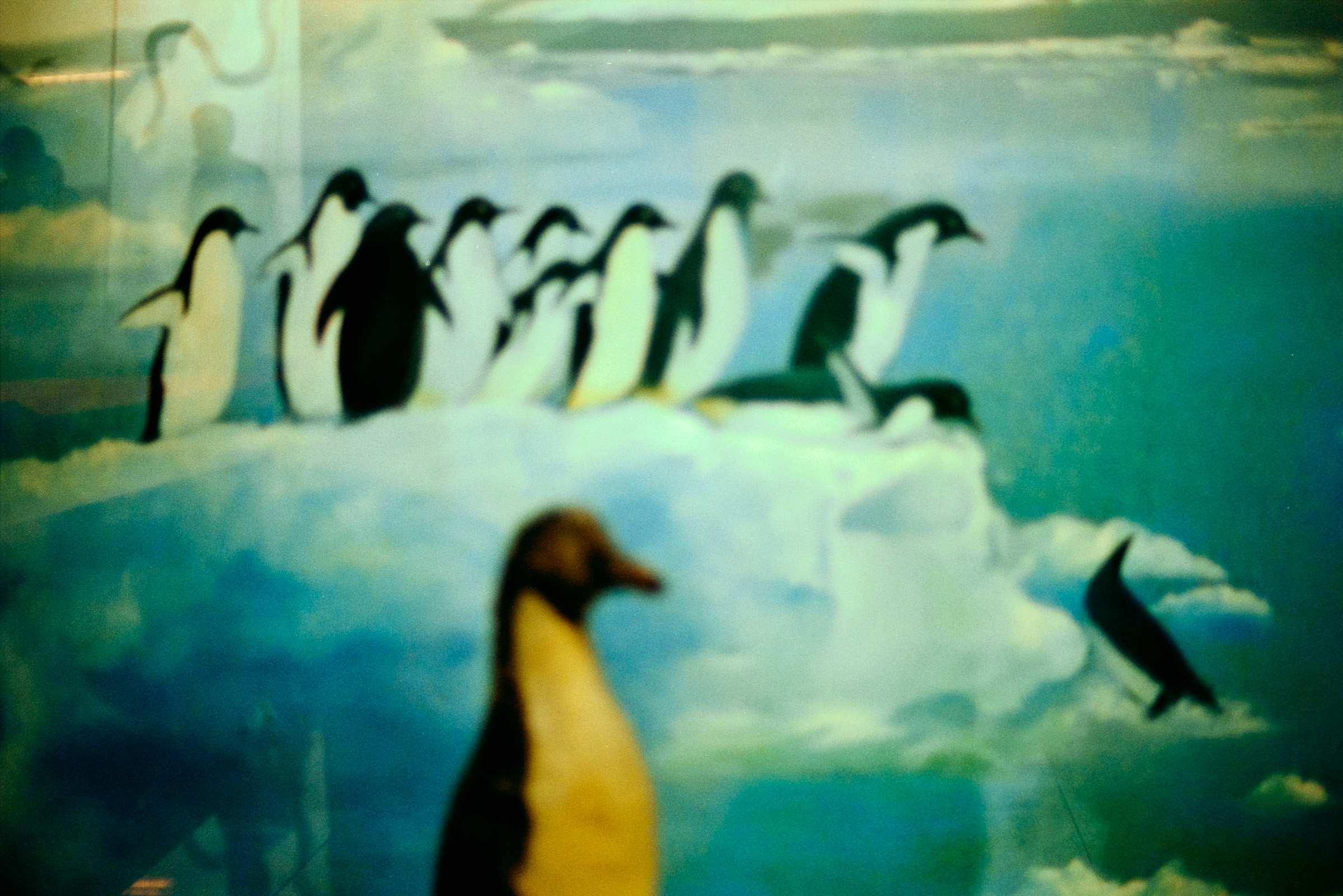 AHP film 2005 01 001 sc240825 img11 NLP